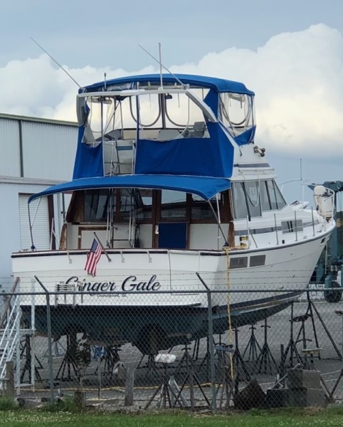 1988 Bayliner 3818
