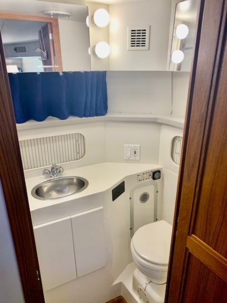 41 Silver Linings 1994 Carver 370 AC Aft Head 2