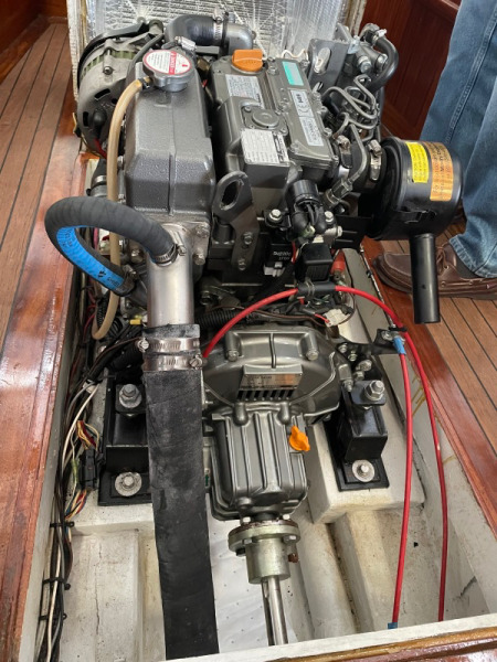 1999 Other 6.5