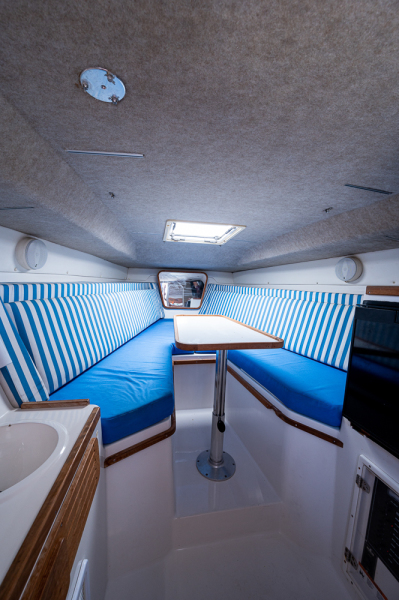 Contender 35-MY TIME-Cabin