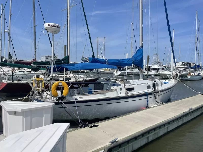 Nogara 38ft Morgan Yacht For Sale