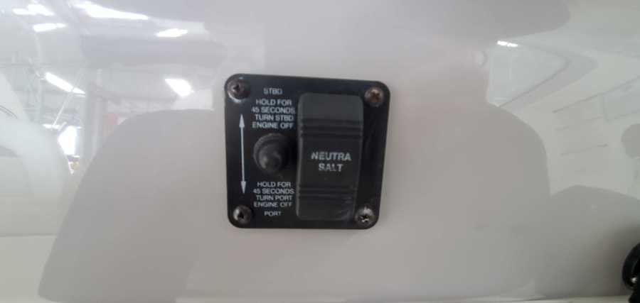 35 NeutraSalt Wash