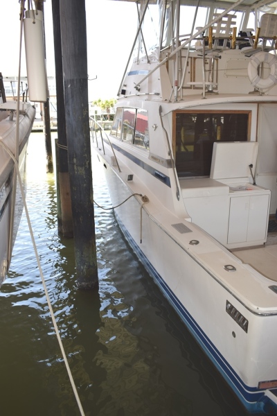 1986 Bertram III