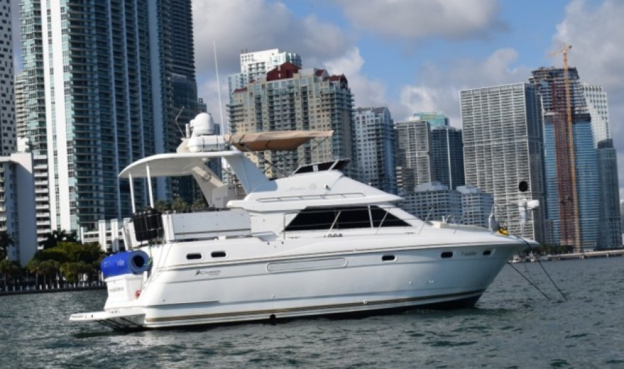 36' Cruiser Starboard