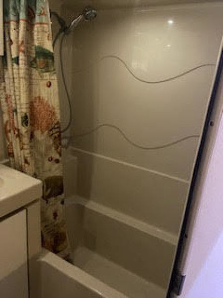 Master bath/shower