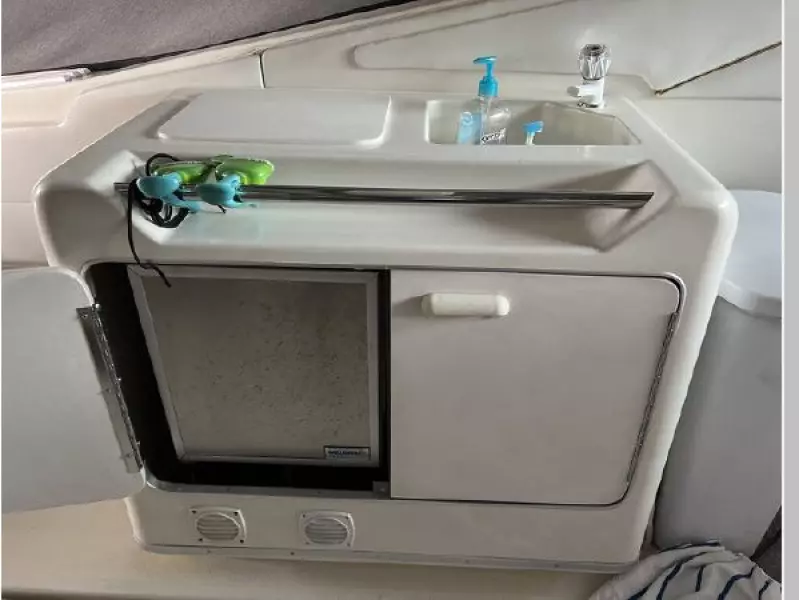 1995 Sea Ray Sundancer