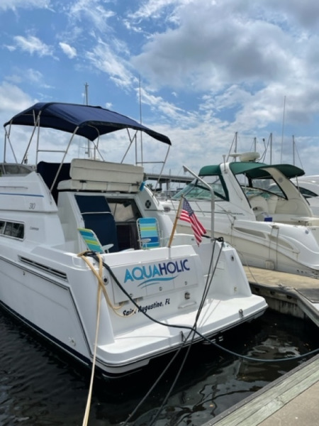 1995 Carver 310 Santego