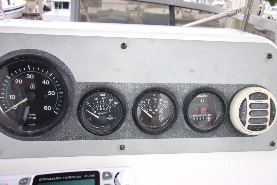1995 Carver 310 Santego