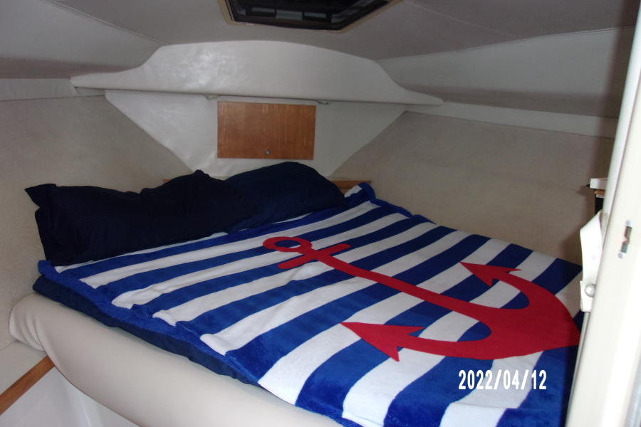 1995 Carver 310 Santego