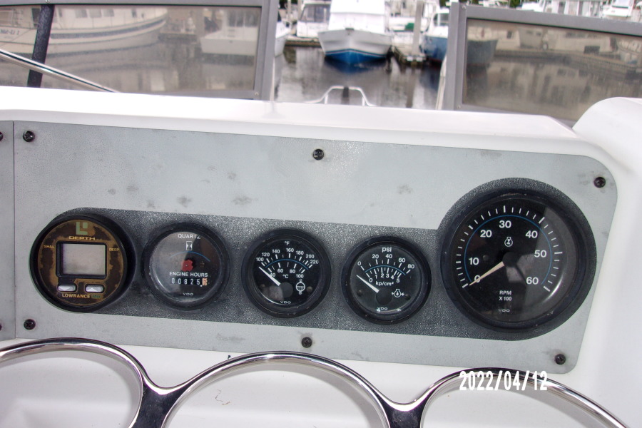 1995 Carver 310 Santego