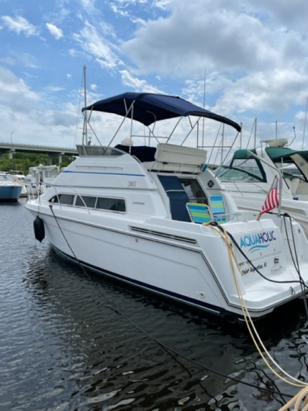 1995 Carver 310 Santego