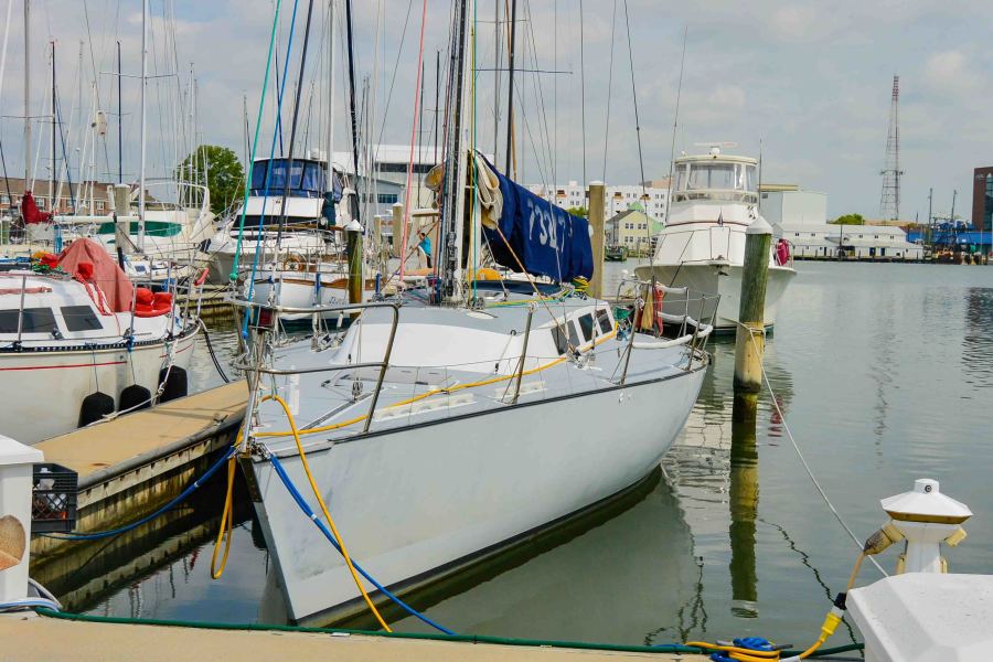 1989 Formula Evelyn