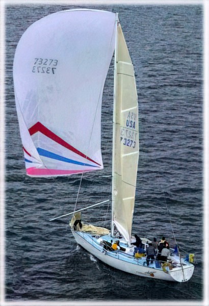 1989 Formula Evelyn