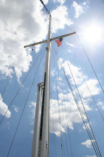 Whisker Pole