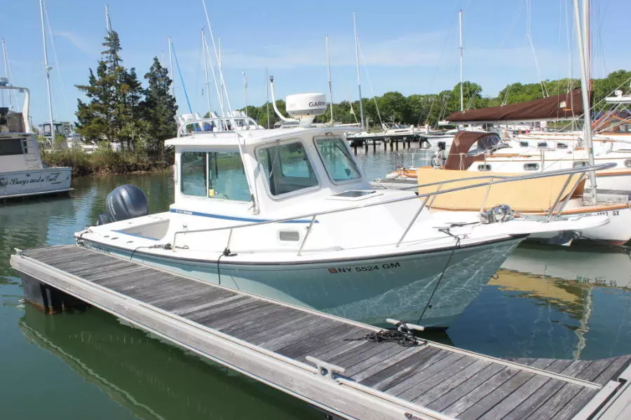 2014 Steiger Craft 21 Dv Miami