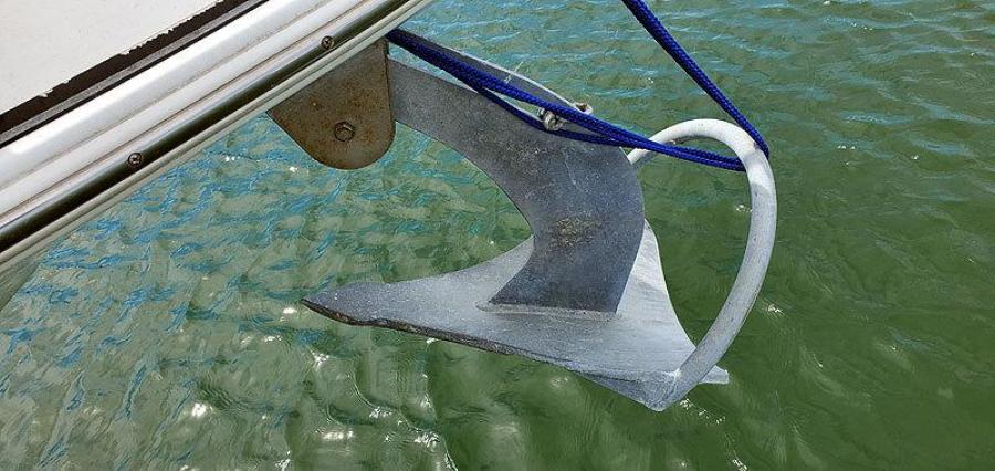 Primary Anchor