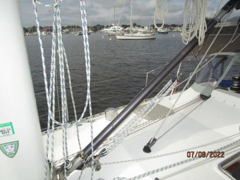 45' Freedom boom vang