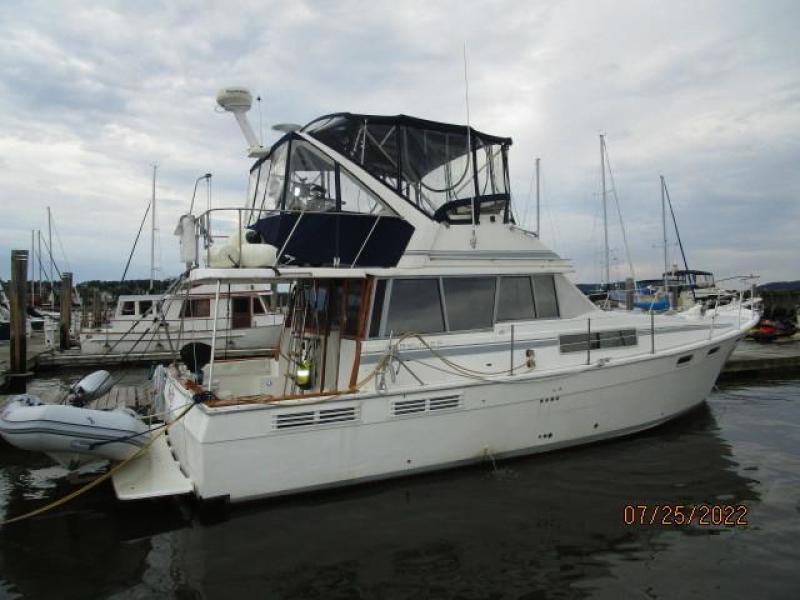 38' Bayliner starboard profile