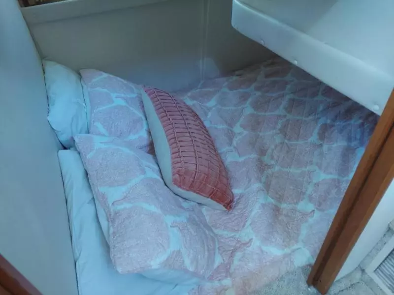 2001 Carver 466 Motor Yacht