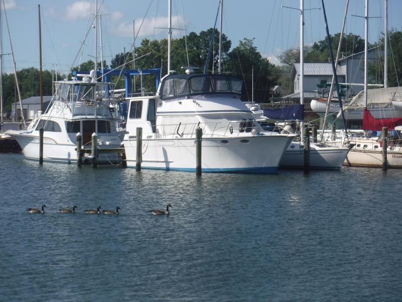 1988 Heritage East