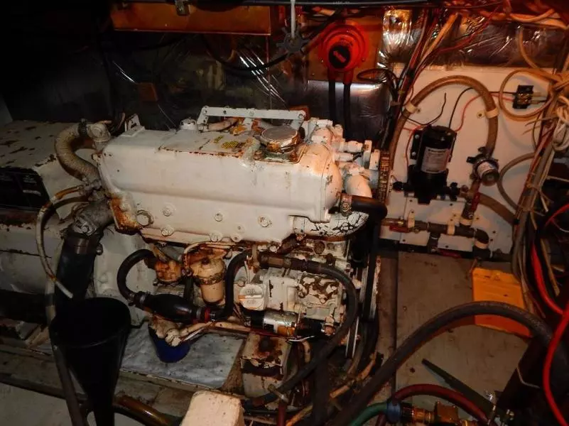 1985 Jersey Jersey Dawn