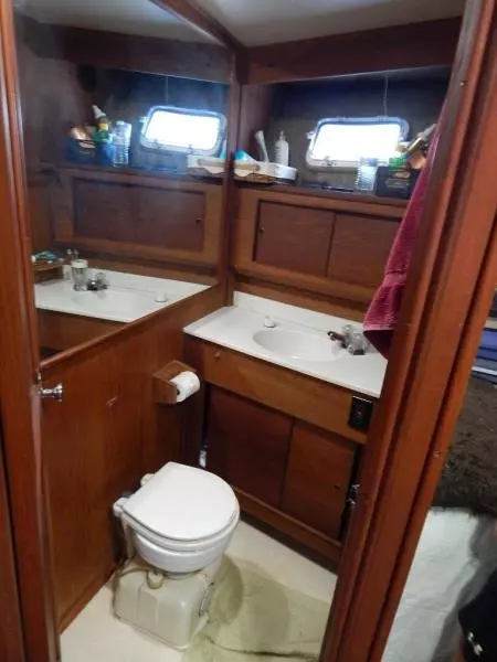 1985 Jersey Jersey Dawn