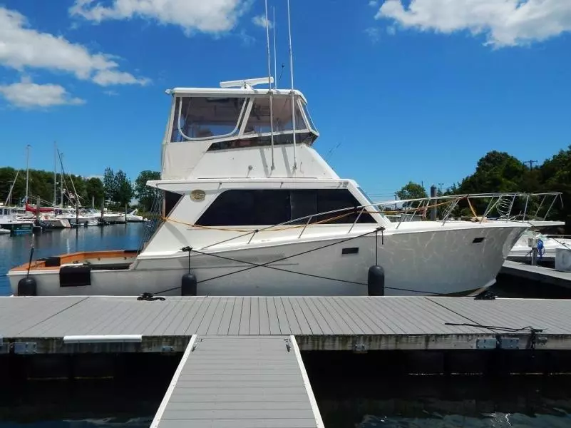 1985 Jersey Jersey Dawn