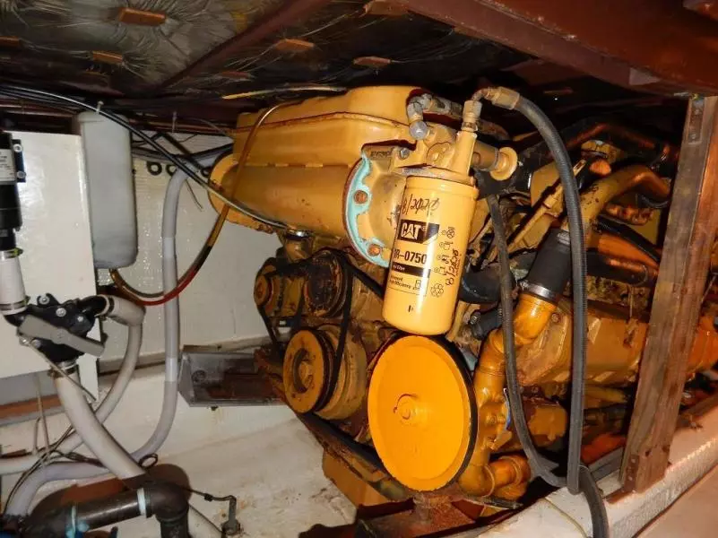 1985 Jersey Jersey Dawn