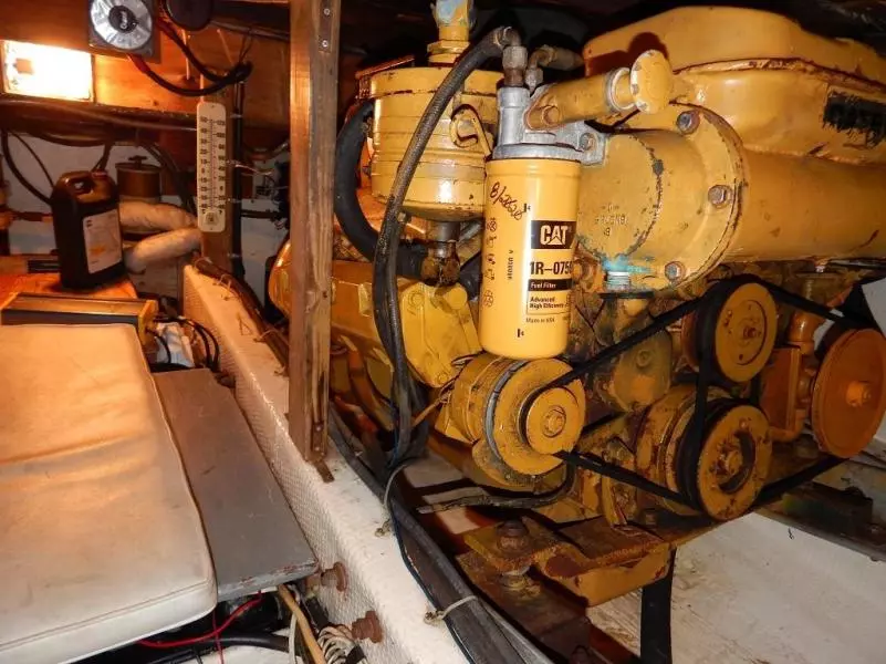 1985 Jersey Jersey Dawn