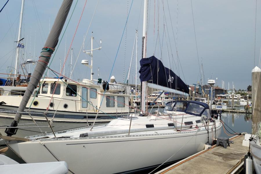 Harlequin port bow.