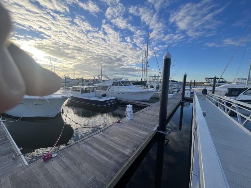1989 Bayliner 4550
