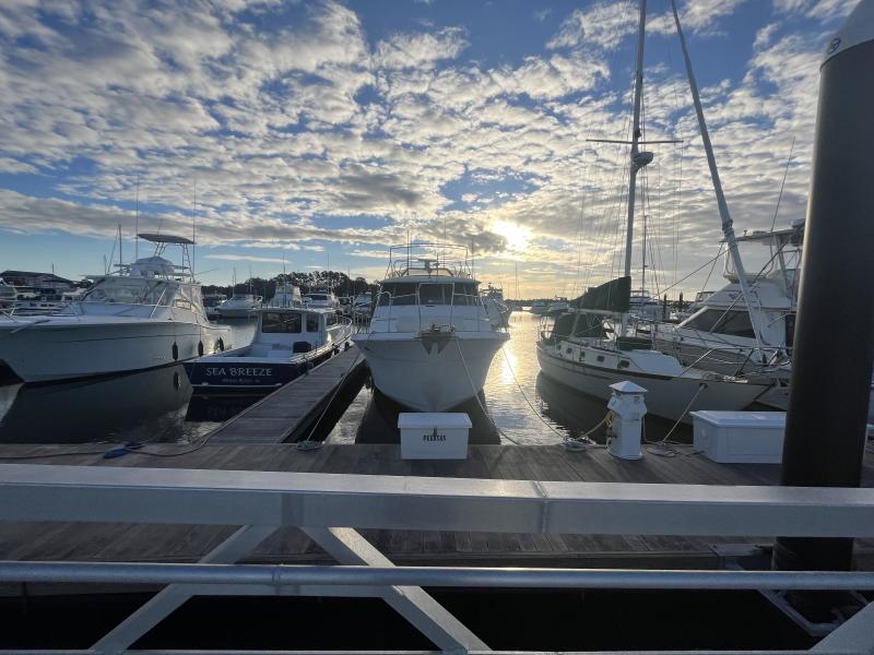 1989 Bayliner 4550