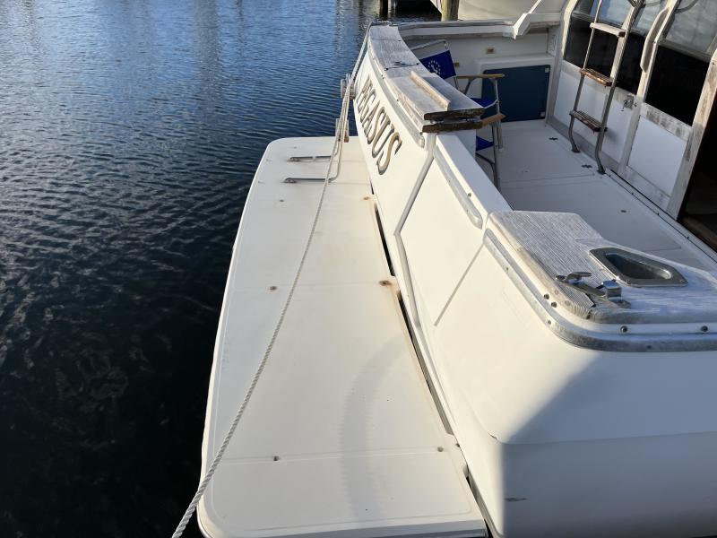 1989 Bayliner 4550