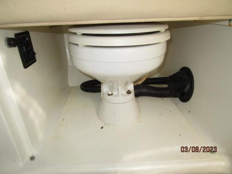25' Triton head