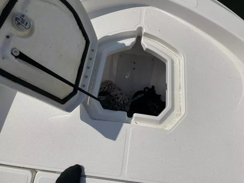 2020 Bayliner F21 Element