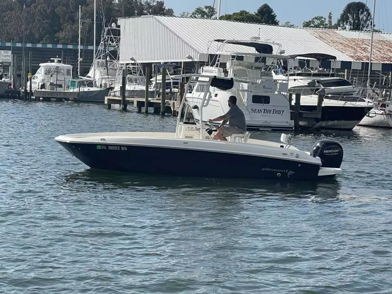 2020 Bayliner F21 Element