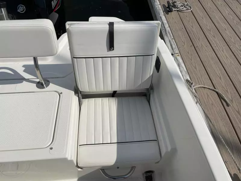 2020 Bayliner F21 Element