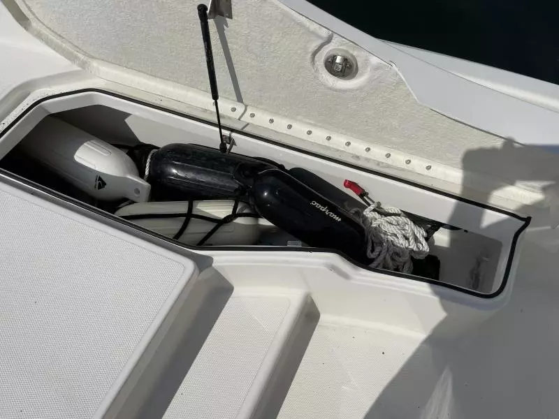 2020 Bayliner F21 Element