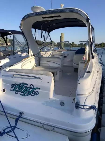 2002 Wellcraft 2600 Martinique