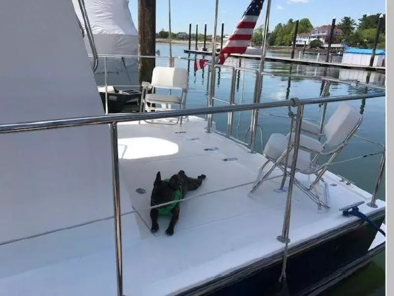 2008 Island Pilot IP435