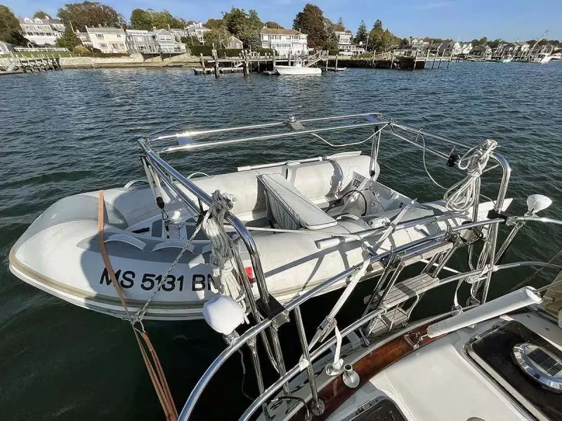 Davits with Tender