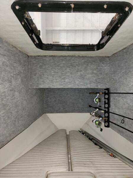 Vbirth view