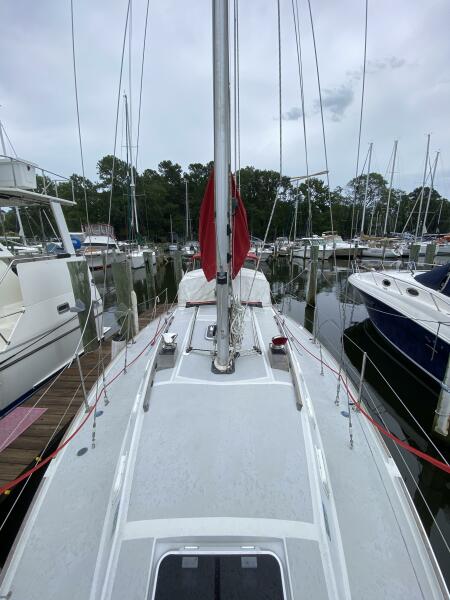 Nauti-Paws