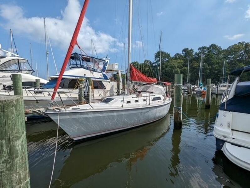 Nauti-Paws