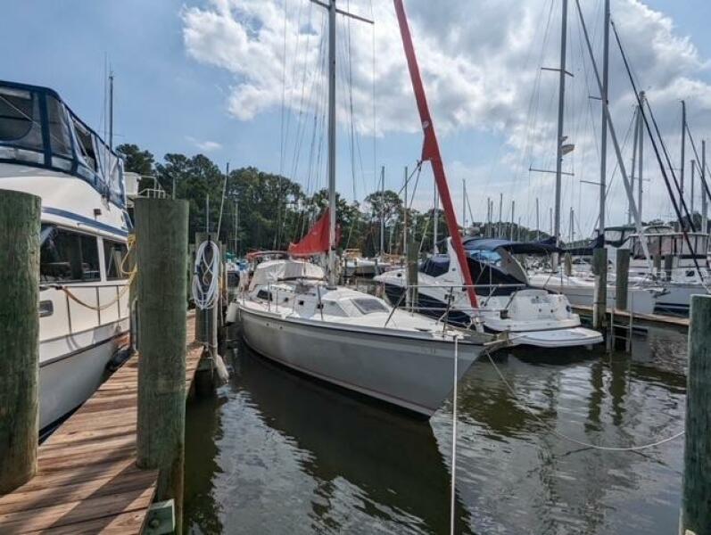 Nauti-Paws