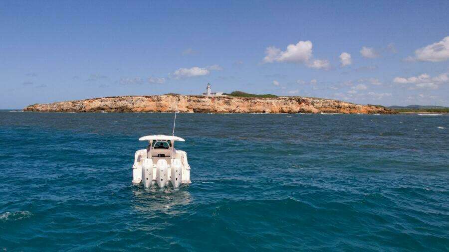 37ft Scout Yacht For Sale