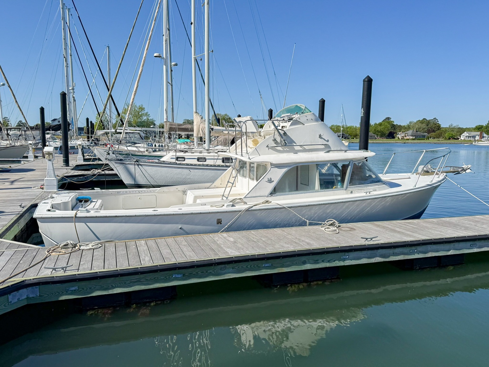 Profile Starboard 