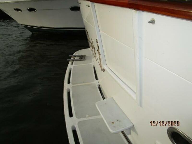 49' DeFever swimplatform