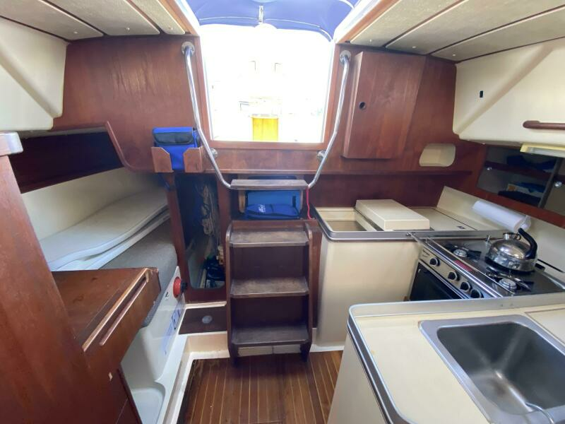 1983 CS Traditional 36