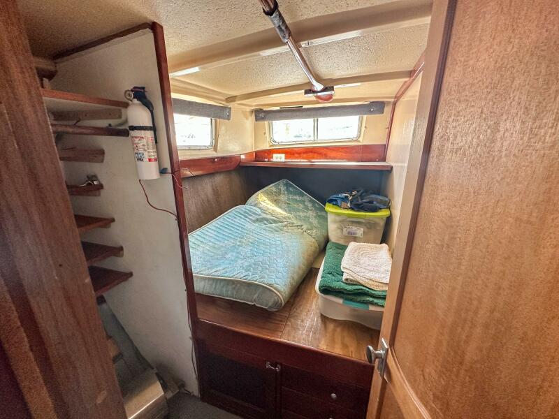 1981 Schucker 50